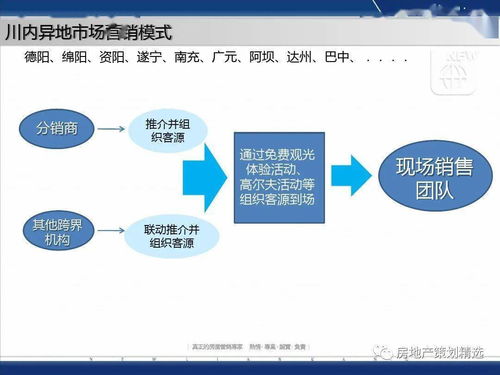 成都藍(lán)光地產(chǎn)觀嶺國際營銷方案報(bào)告